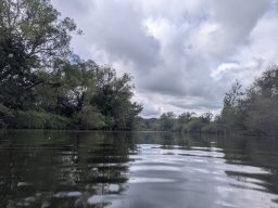 Mainschwimmen Juni 2026